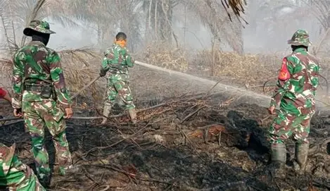 Kualitas Udara Jambi Memburuk, Asap Karhutla Mulai Ancam Aktivitas Ekonomi