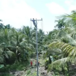 Akses Listrik Dikebut, 3 Kecamatan di Tanjab Barat Masuk Prioritas Pembangunan Jaringan Desa