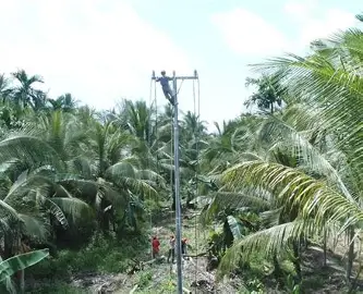 Akses Listrik Dikebut, 3 Kecamatan di Tanjab Barat Masuk Prioritas Pembangunan Jaringan Desa