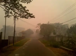 Daftar Daerah di Jambi Terdampak Karhutla, Kabut Asap Mulai Menyelimuti