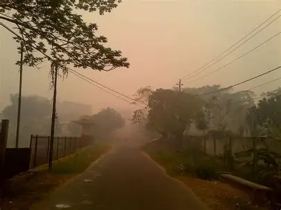 Daftar Daerah di Jambi Terdampak Karhutla, Kabut Asap Mulai Menyelimuti