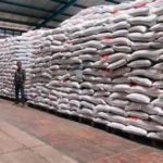Stok Beras Bulog Jambi Tembus 10.955 Ton, Aman Penuhi Kebutuhan Masyarakat Hingga 4 Bulan
