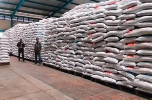 Stok Beras Bulog Jambi Tembus 10.955 Ton, Aman Penuhi Kebutuhan Masyarakat Hingga 4 Bulan