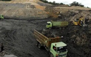 Investor Tembus 239 Ribu, Tapi Belum Ada Emiten Lokal Melantai di Bursa Efek Indonesia
