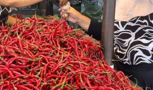 Harga Cabai Merah di Pasar Angso Duo Tembus Rp40.000 per Kilogram