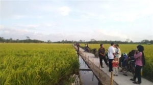 3.771 Hektare Sawah Tanjabtim Aman dari Kekeringan, 275 Pompa Air Disiagakan