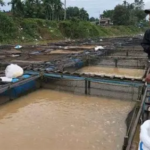 Batang Hari dan Ekonomi Perkebunan: Dari Komoditas ke Bisnis Turunan