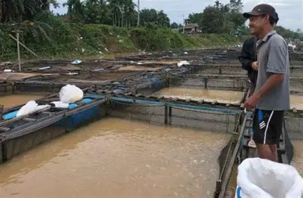 Batang Hari dan Ekonomi Perkebunan: Dari Komoditas ke Bisnis Turunan