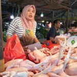 Harga Sembako Talang Banjar 25 September 2026: Cabai Turun 16,67 Persen, Ayam Rp40 Ribu