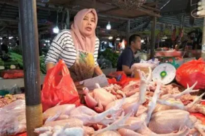 Harga Sembako Talang Banjar 25 September 2026: Cabai Turun 16,67 Persen, Ayam Rp40 Ribu