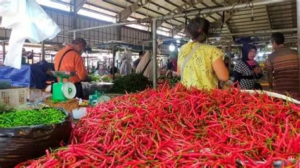 Harga Sembako di Pasar Angso Duo Jambi 29 September 2026, Ayam dan Cabai Merah Naik