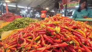 Cabai Merah dan Rawit Naik di Tengah Kabut Asap Jambi