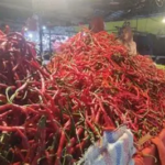 Harga Cabai Rawit Merah di Pasar Angso Duo Hari ini Tembus Rp90 Ribu