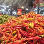 Harga Cabai di Jambi Turun 5,17%, Ini Daftar Harga Sembako 16 Oktober 2026