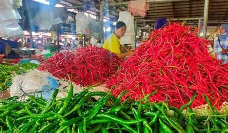 Kabut Asap Melanda Jambi, Harga Cabai Rawit di Pasar Angso Duo Naik