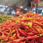 Kabut Asap Semakin Pekat, Harga Cabai Rawit Merah Tembus Rp70.000 per Kilogram