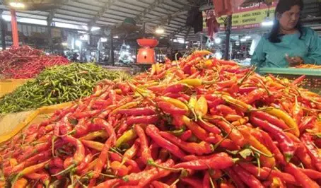 Kabut Asap Semakin Pekat, Harga Cabai Rawit Merah Tembus Rp70.000 per Kilogram