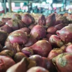 Harga Sembako Jambi Hari Ini: Cabai Rawit dan Bawang Merah Turun