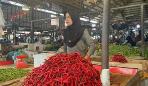Harga Cabai Hari Ini di Pasar Angso Duo Jambi Turun, Cek Daftar Harga Terbarunya