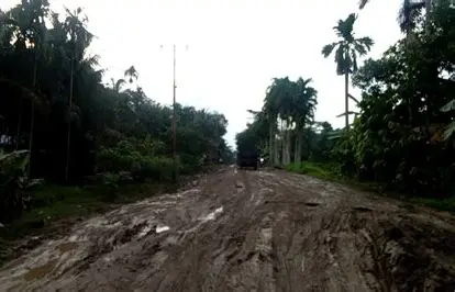 8 Desa di Tanjab Timur Masih Tertinggal, Lima Berada di Kecamatan Sadu