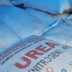 Daftar Harga Pupuk Subsidi dan Non Subsidi Juni 2026: Urea hingga NPK