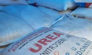 Daftar Harga Pupuk Subsidi dan Non Subsidi Juni 2026: Urea hingga NPK