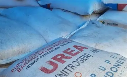 Daftar Harga Pupuk Subsidi dan Non Subsidi Juni 2026: Urea hingga NPK