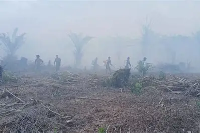 9 Daerah di Jambi Rawan Karhutla, Muaro Jambi dan Tanjab Barat Paling Disorot