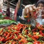 Harga Sembako Talang Banjar: Cabai Turun, Rawit Merah Naik 18,75 Persen