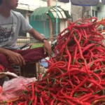 Harga Cabai dan Daging Sapi di Pasar Talang Banjar Naik Jelang Idul Adha 2026