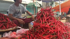 Harga Cabai dan Daging Sapi di Pasar Talang Banjar Naik Jelang Idul Adha 2026