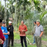 Perkebunan Jadi Penopang NTP Jambi, Karet hingga Sawit Mengerek Daya Tukar Petani