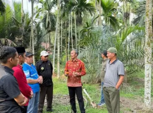Perkebunan Jadi Penopang NTP Jambi, Karet hingga Sawit Mengerek Daya Tukar Petani