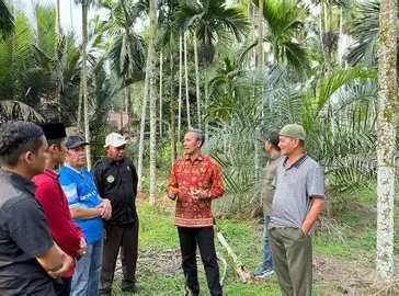 Perkebunan Jadi Penopang NTP Jambi, Karet hingga Sawit Mengerek Daya Tukar Petani