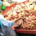 Harga Sembako Kasang: Cabai dan Rawit Merah Naik, Ayam Broiler Turun
