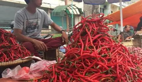 Harga Sembako di Pasar Talang Banjar Jambi 14 September 2026, Cabai Merah Naik 20 Persen