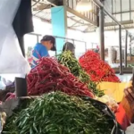 Harga Cabai di Pasar Talang Banjar Anjlok hingga 14 Persen, Bawang Ikut Turun