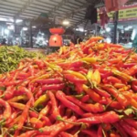 Harga Sembako Pasar Angso Duo Jambi 13 Agustus 2026: Cabai Rawit Merah Tembus Rp60 Ribu