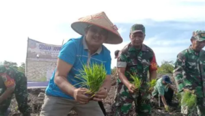 Tanjab Barat Mulai Tanam Padi dengan Sistem Modern, Target Produktivitas Jadi Sorotan