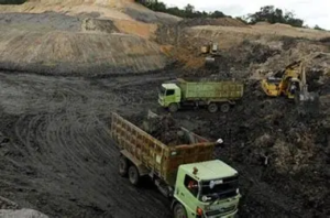 Kredit Perdagangan Jambi Tumbuh 14,36 Persen, Sinyal Aktivitas Bisnis Menguat