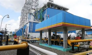 Investasi Jambi Tembus Rp4,22 Triliun pada Semester I 2026, PMDN Masih Mendominasi