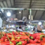 Harga Cabai di Pasar Talang Banjar Jambi Turun, Rawit Merah Kini Rp45.000 per Kg