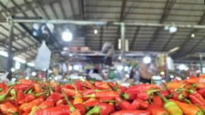 Harga Cabai di Pasar Talang Banjar Jambi Turun, Rawit Merah Kini Rp45.000 per Kg