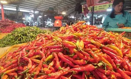 Harga Cabai di Pasar Angso Duo Jambi Turun