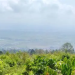 Jambi Hari Ini Panas, Kerinci dan Sungai Penuh Diselimuti Kabut-Asap