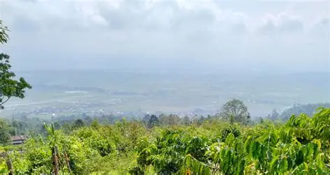 Jambi Hari Ini Panas, Kerinci dan Sungai Penuh Diselimuti Kabut-Asap