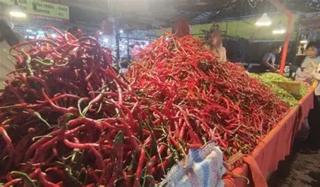 Harga Sembako di Pasar Angso Duo Jambi Stabil, Cabai Merah Turun Tajam per 9 Juni 2026