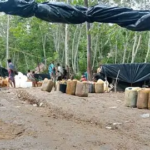 11.509 Sumur Minyak Rakyat di Jambi Terdata, 8.864 Titik di Batanghari Masuk Verifikasi, 1.021 Sudah Berkontrak