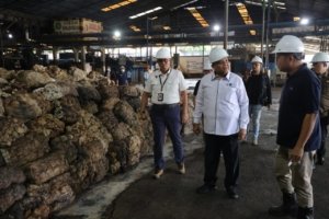 Dari Jambi ke Dunia! Hampir 90 Tahun Hok Tong Jadi Raksasa Ekspor Karet Indonesia